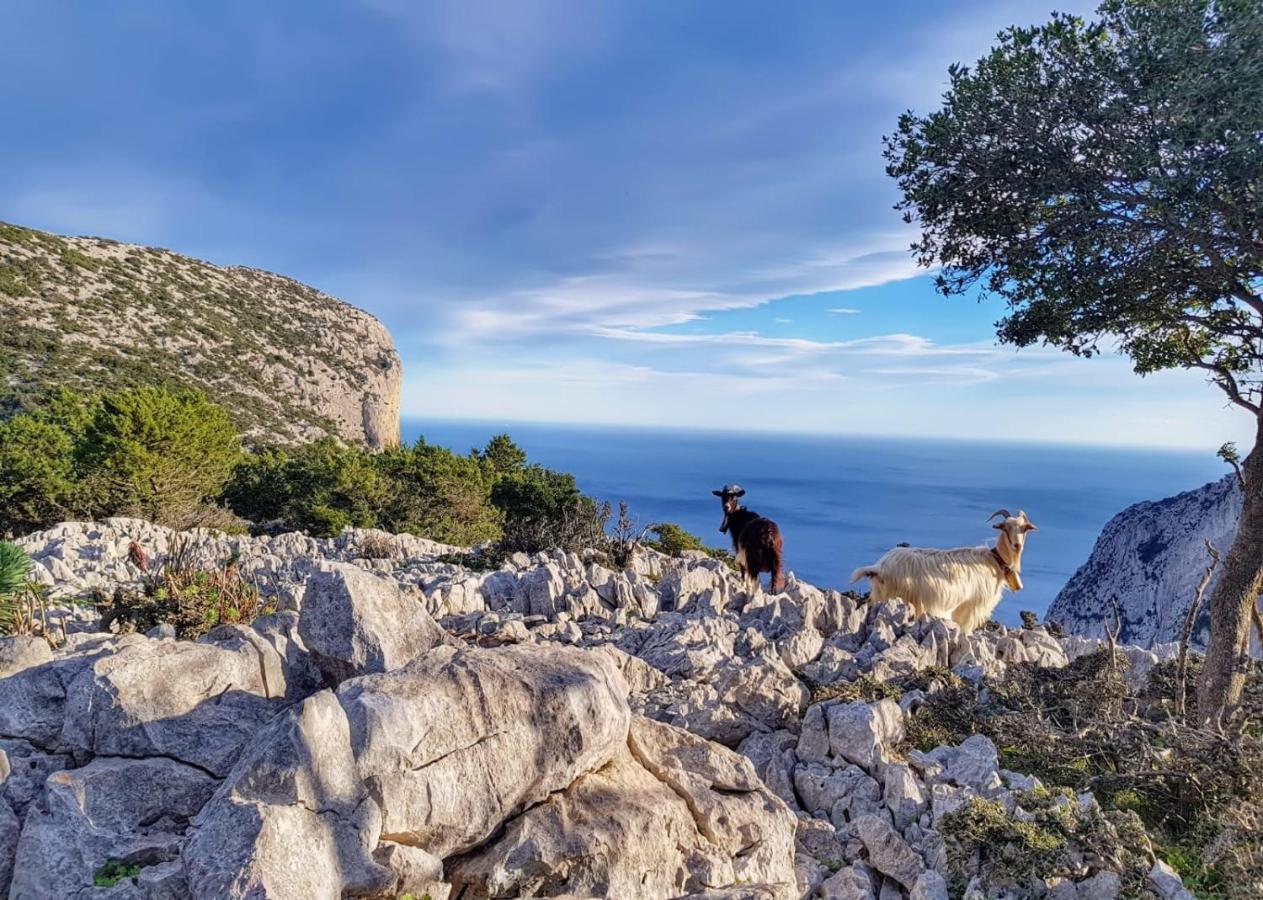 Appartamento Tra Mare E Montagna بوناي المظهر الخارجي الصورة